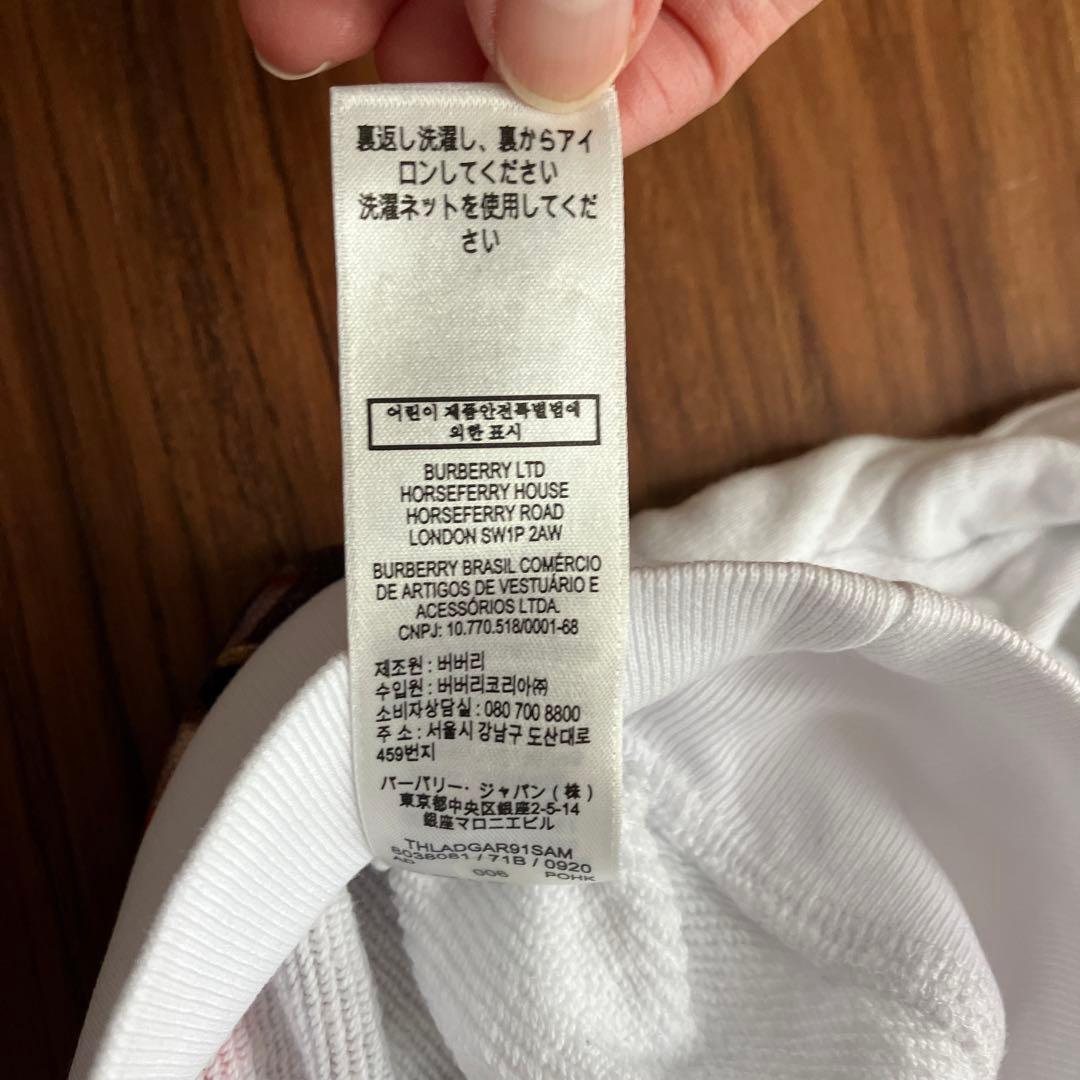 バーバリー　フルーツ　スウェット　トレーナー