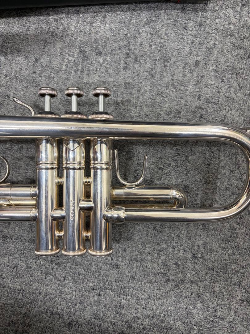 ぽぽちゃん バックトランペット