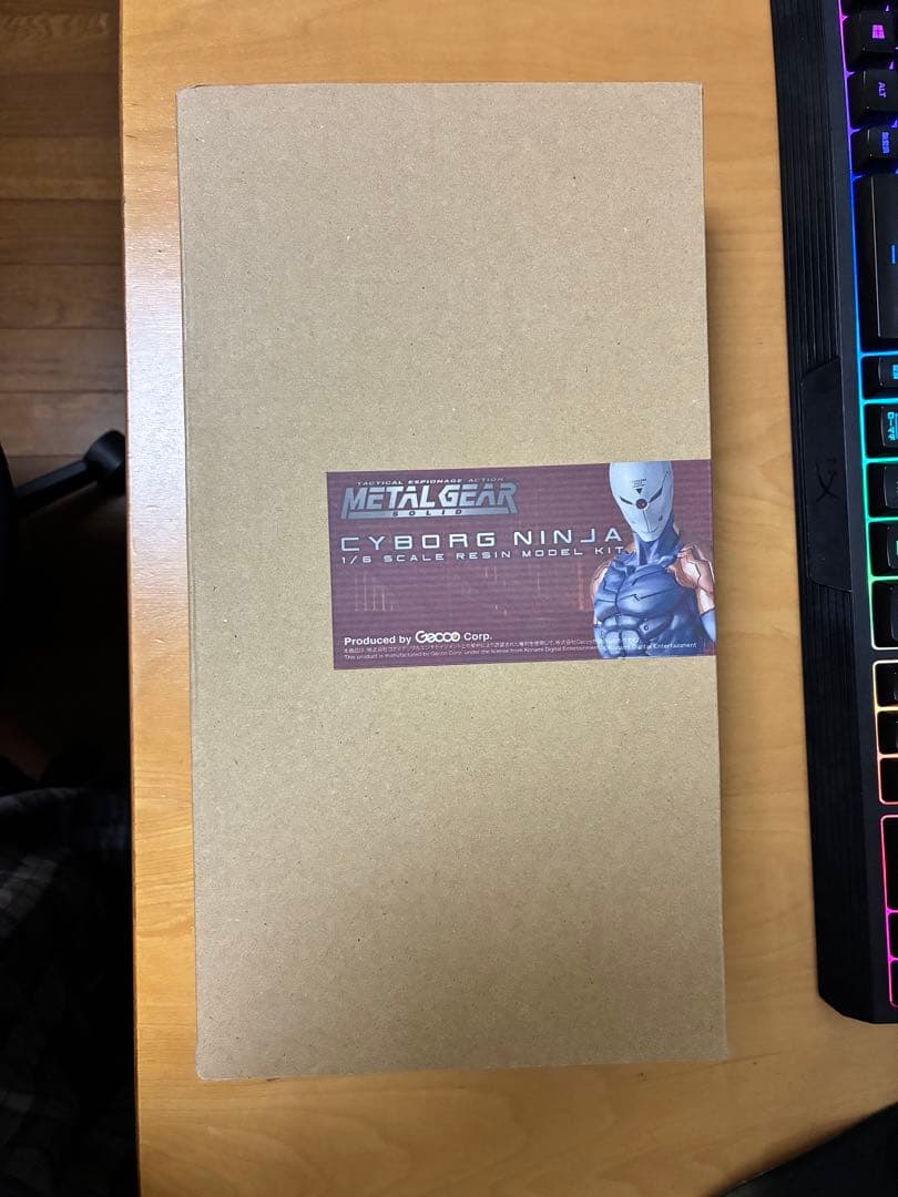 l Gear Solidサイボーグ忍者 1/6スケールレジンモデルキット