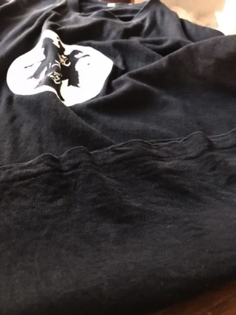 氣志團　レア Tシャツ　インディーズ