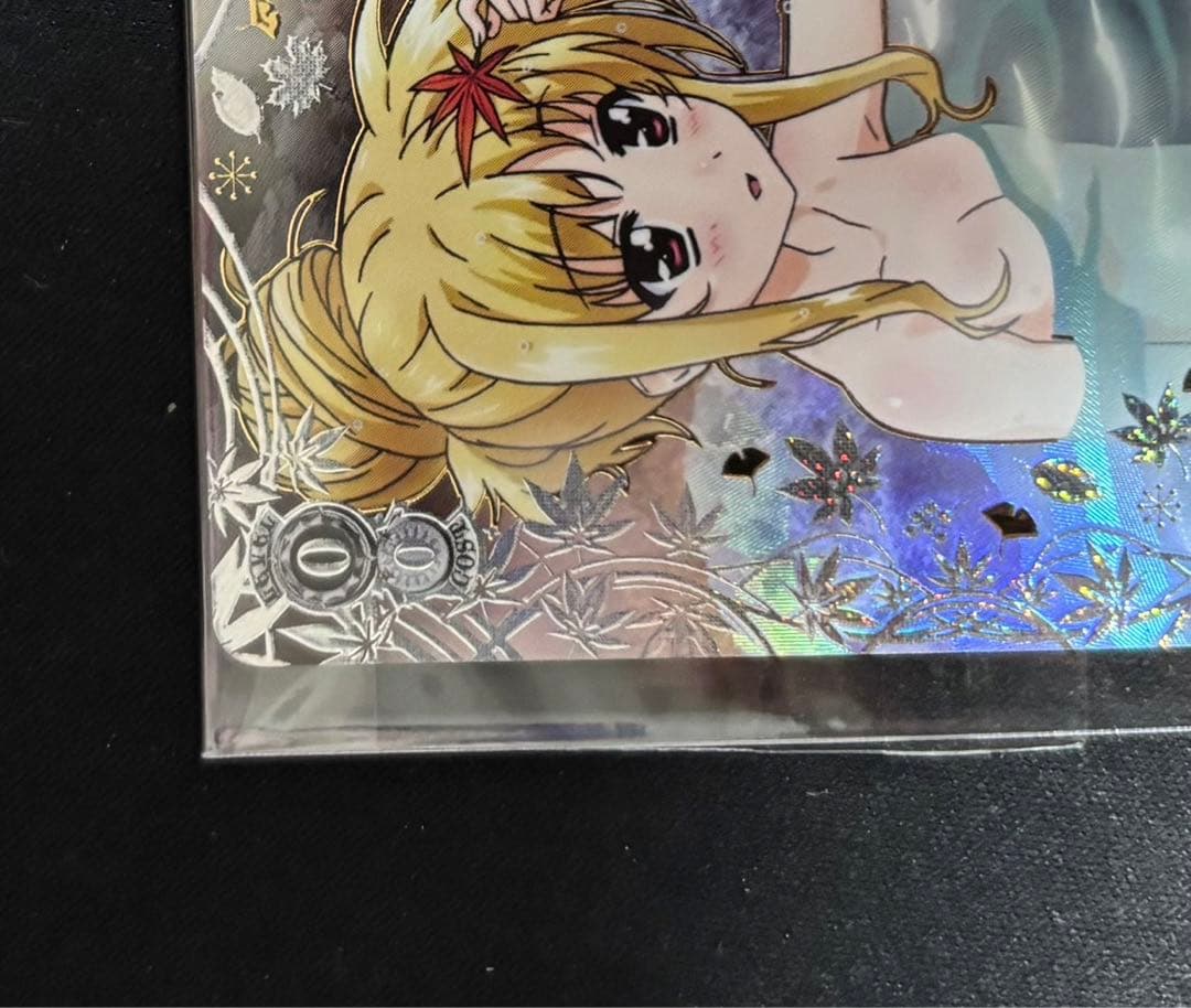 これからのことフェイト PR+ 未開封