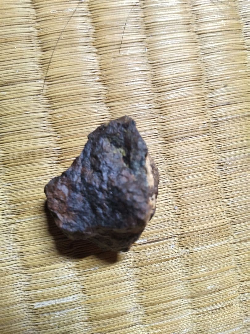 宇宙からの贈り物　石質隕石コンドライト　サハラ砂漠(C)