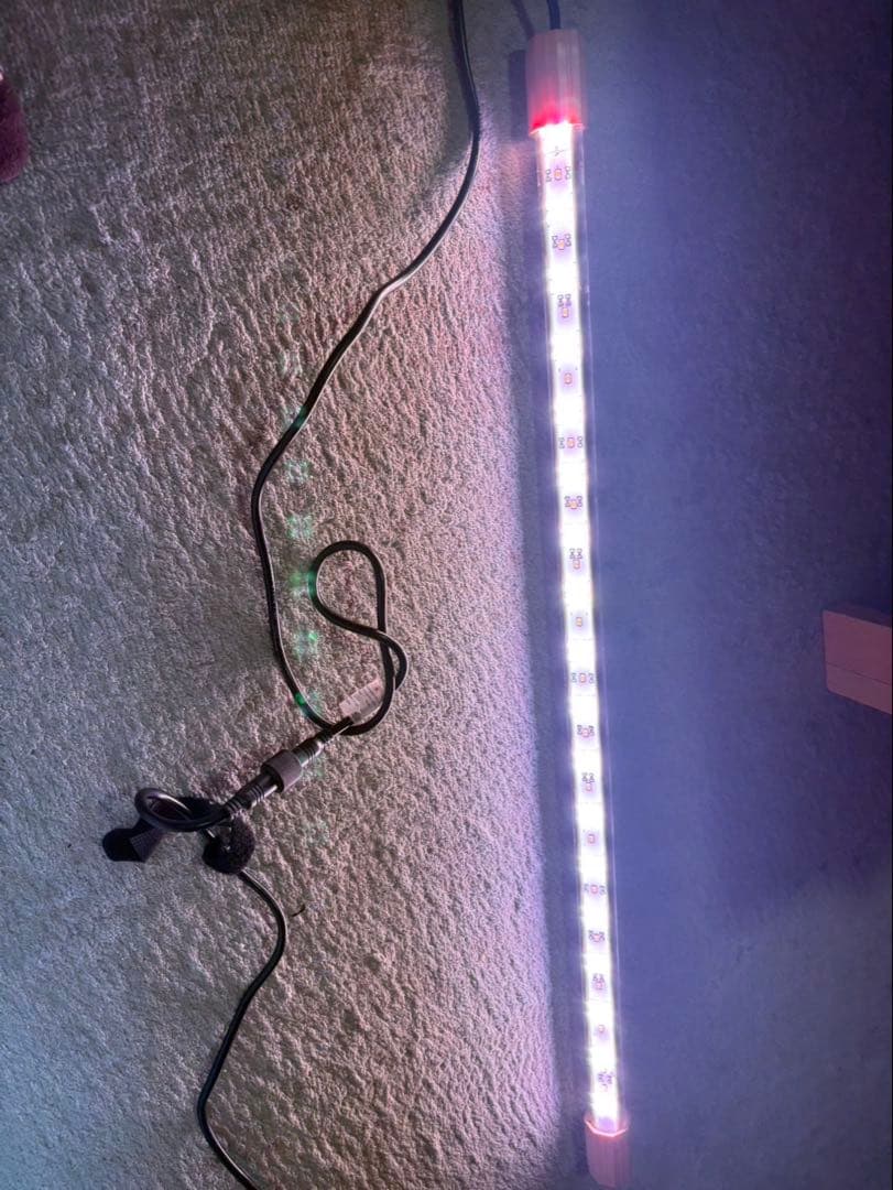 アロワナライト