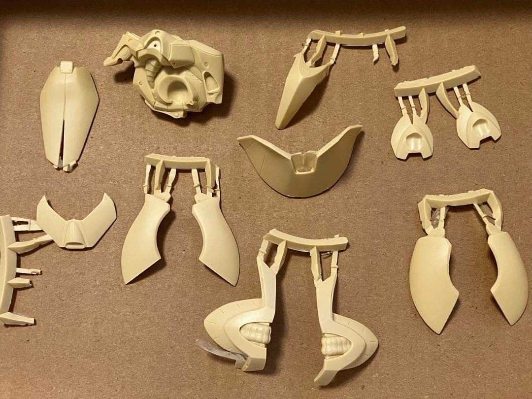 FSS ワークショップキャスト ジュノーン後期型