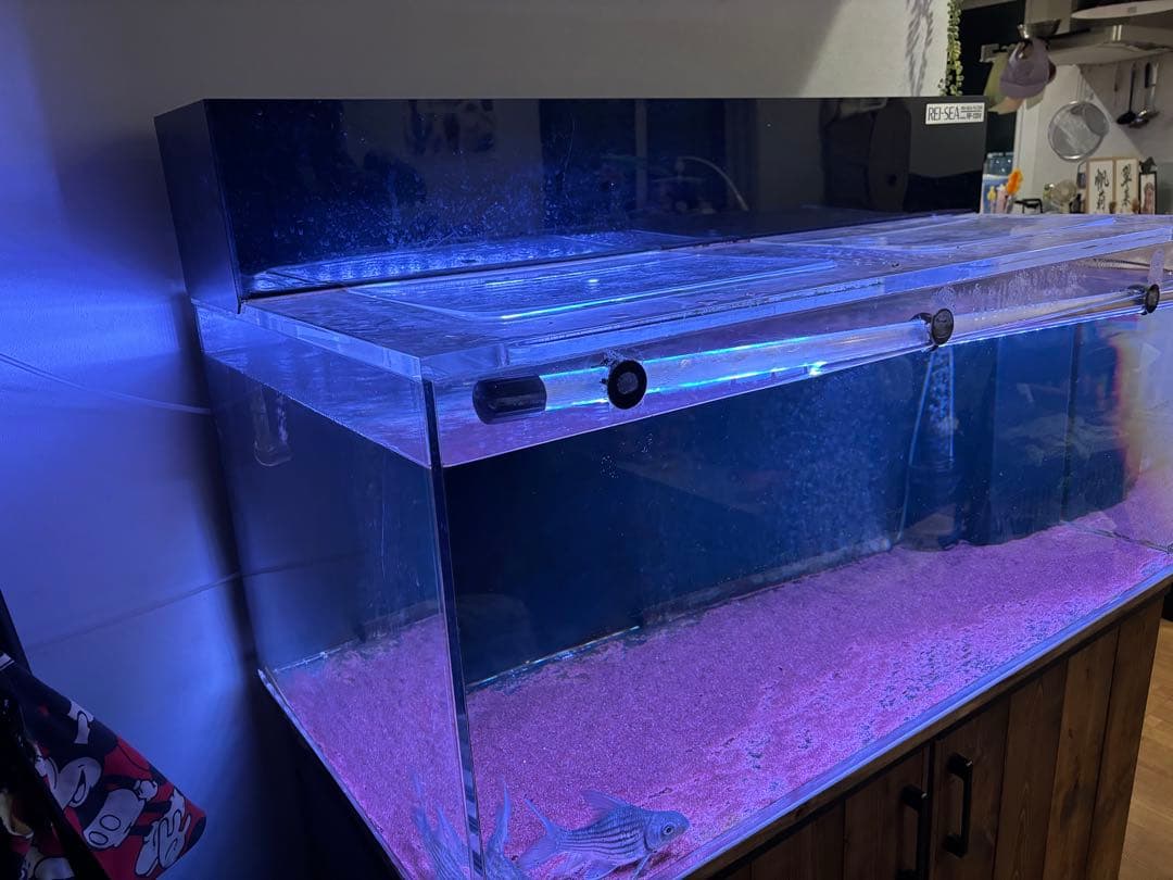 shunpi　水槽　水槽セット　1200 600 h500 神奈川　手渡し