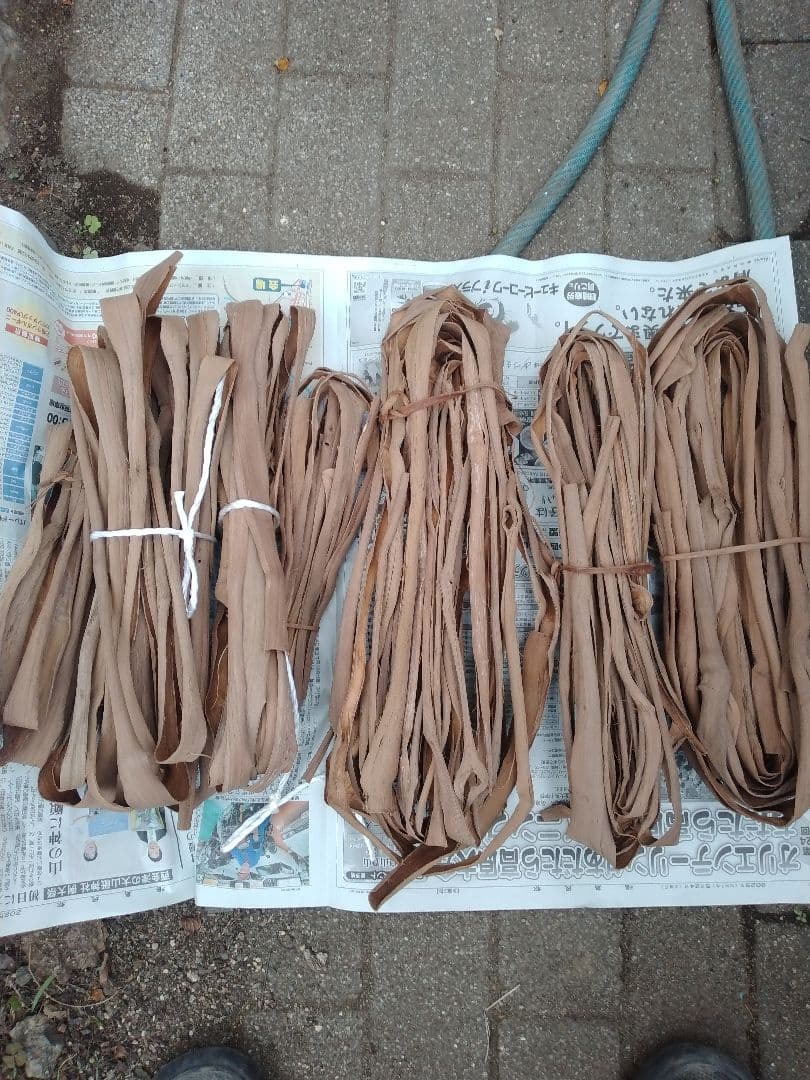 山葡萄蔓buru*様