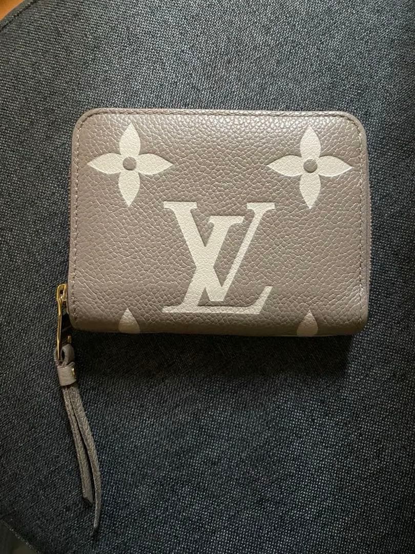 Louis Vuitton アンプラント ケース 美品 M82448