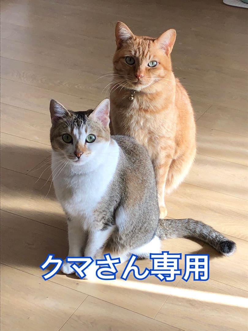 Kajiko　超安定型マッシュルーム　楓5個セット