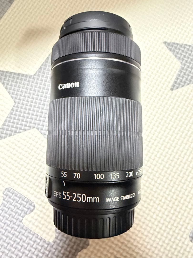 新品未使用 キャノン EF-S55-250mm F4-5.6 IS STM 望遠