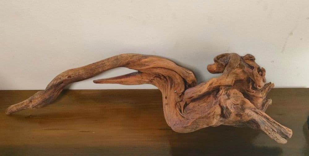 ADA ホーンウッド 流木