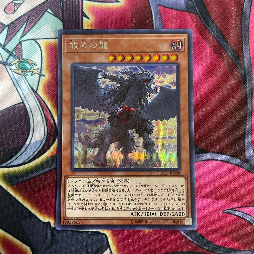 遊戯王　戒めの龍　シク　⑫