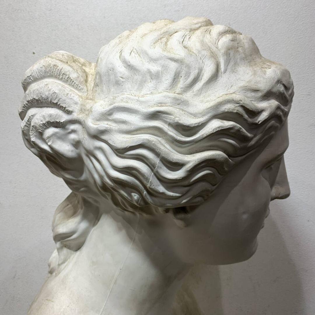 ミロのヴィーナス　石膏像　胸像　デッサン　美術　オブジェ　XZ4116