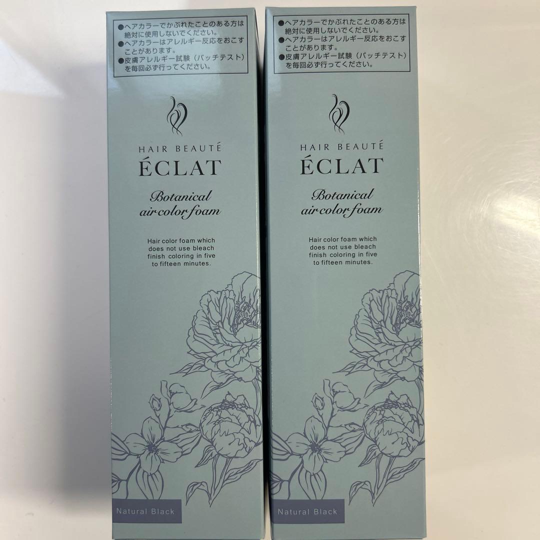 ヘアボーテ エクラ ボタニカルエアカラーフォーム up ナチュラルブラック 2本