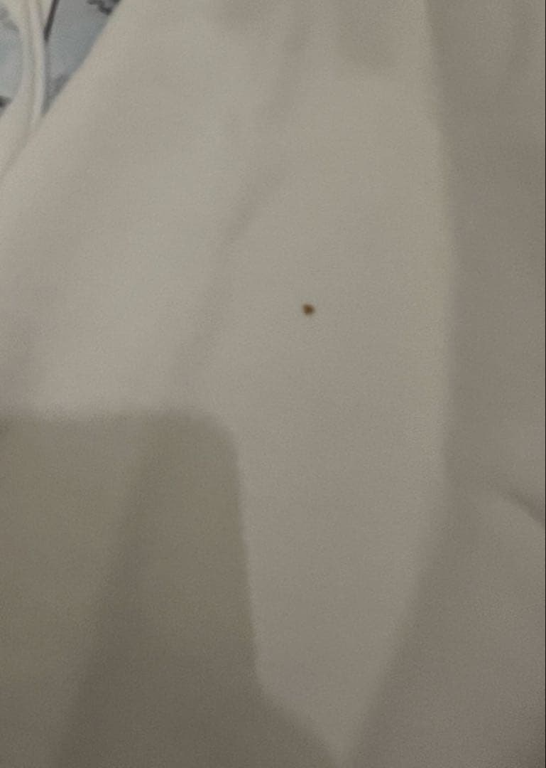 DIOR クリスチャン ディオール ロゴパーカー