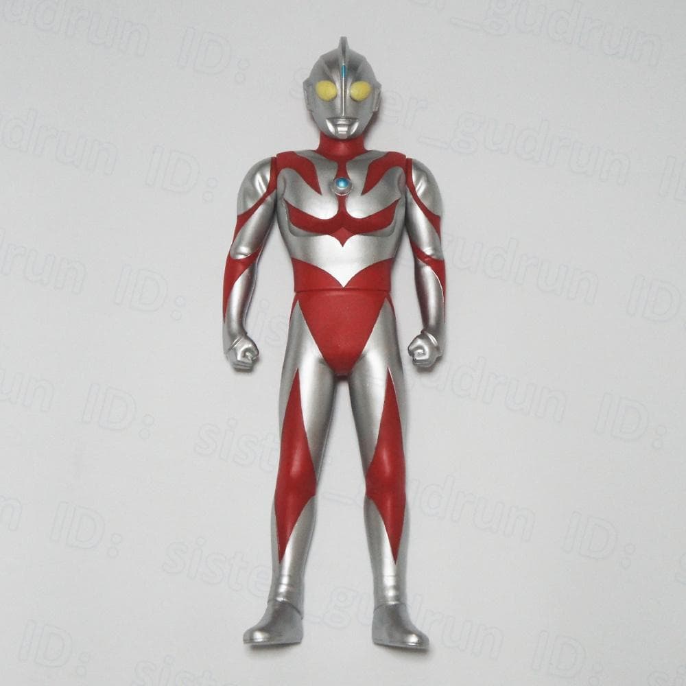 【中古】　限定フォトパネル　友里アンヌ　直筆サイン