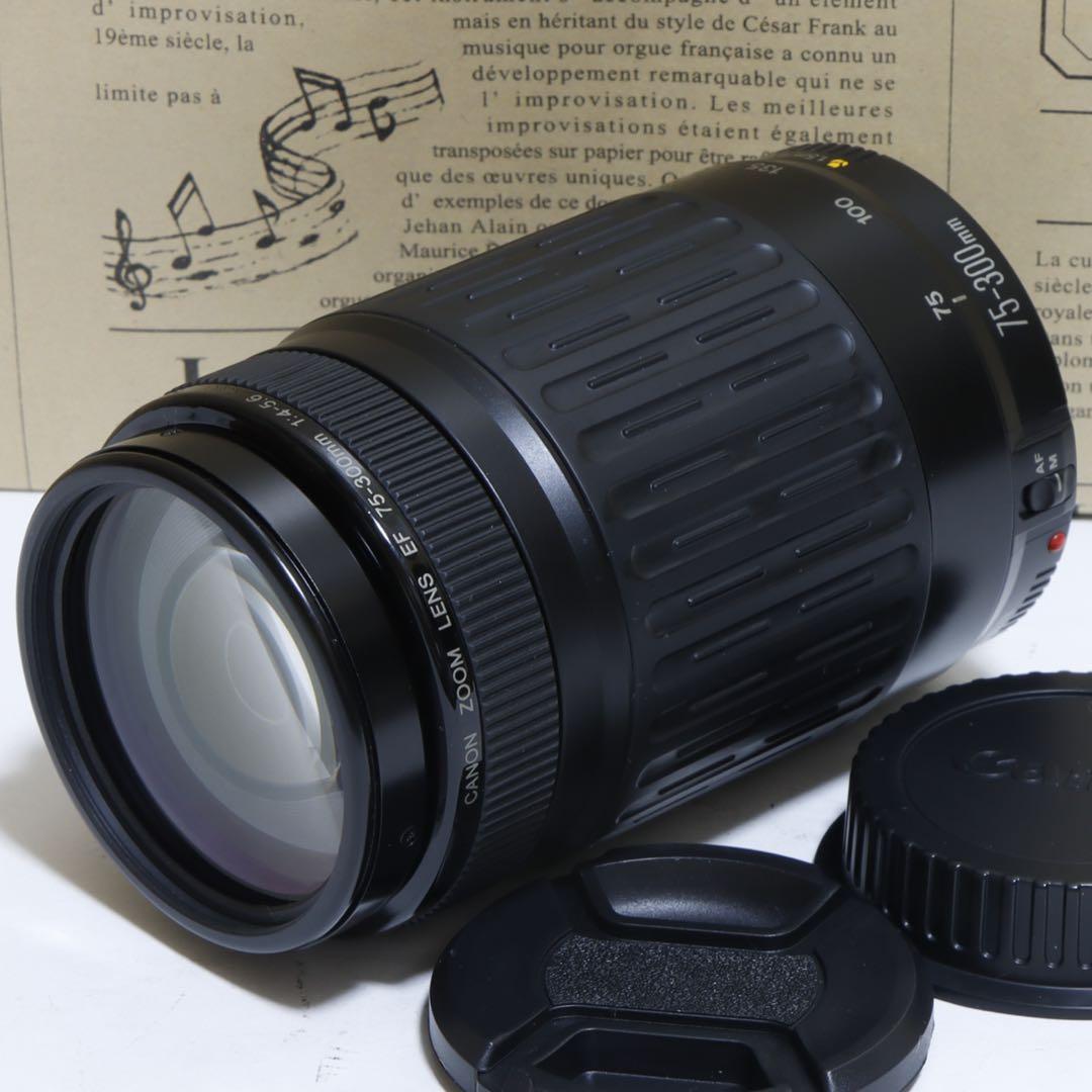 ◇大迫力超望遠!!◇Canon純正 300mm 望遠レンズ!!◇