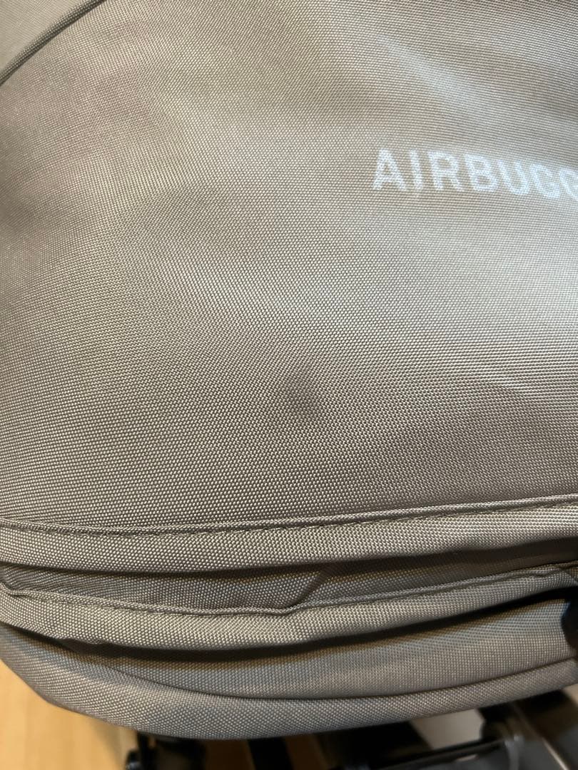 【3点セット】AIRBUGGY WIZ X ペットカート、レインカバー、マット