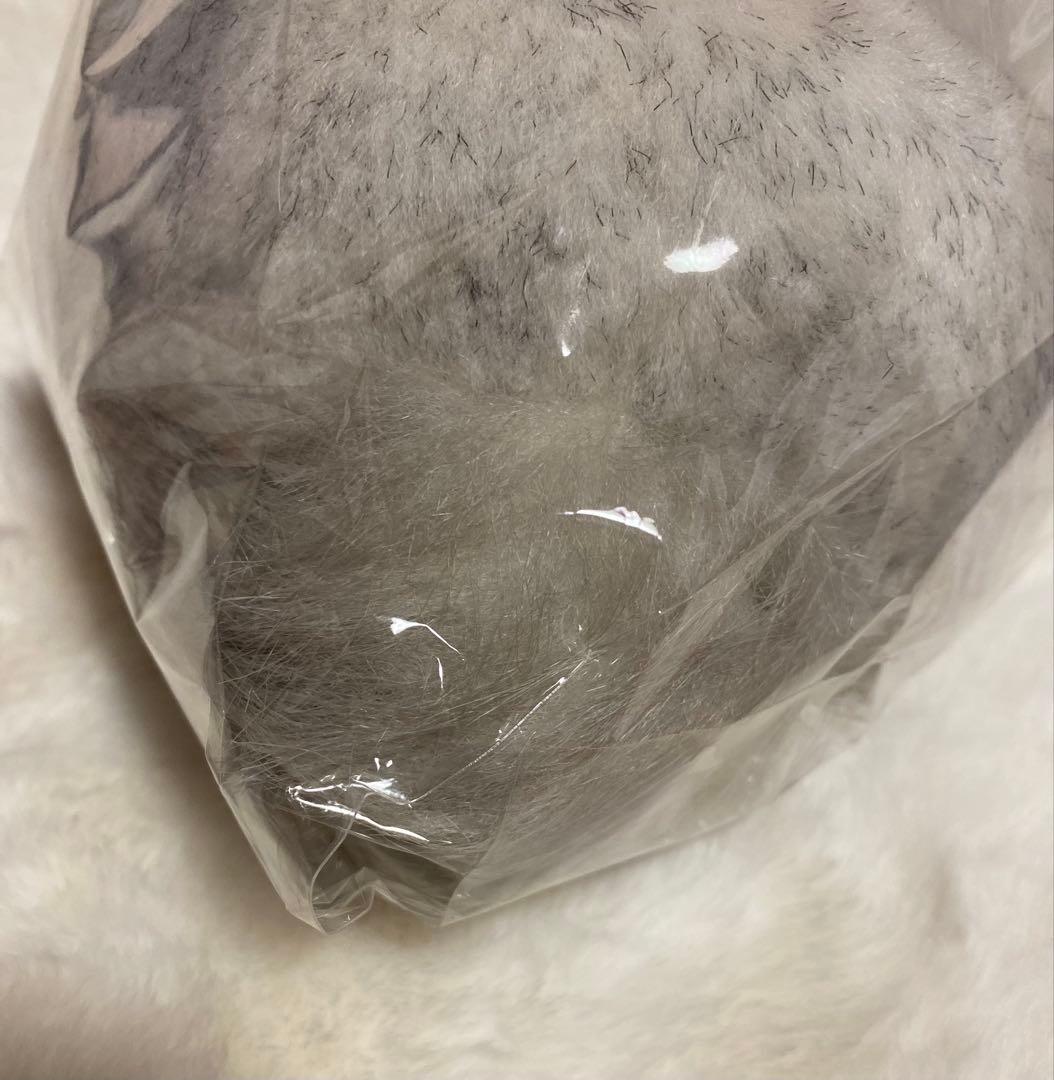 タマモクロス 天皇賞 AVANTI ぬいぐるみ 競馬 Sサイズ