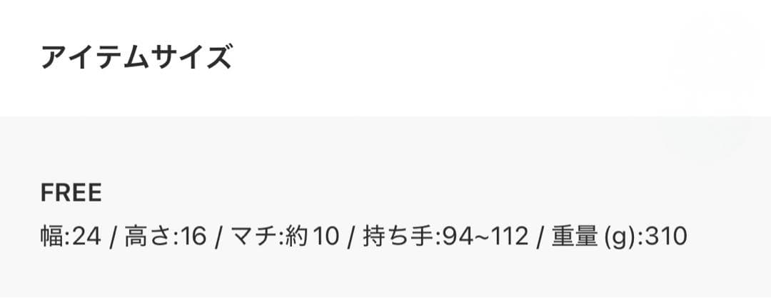 ⭐︎新品⭐︎ COLLAGE GALLARDAGALANTE レザーチャームボストン
