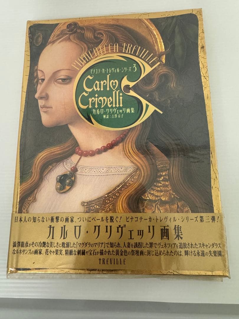 【絶版・美品】トレヴィル画集 全10巻セット