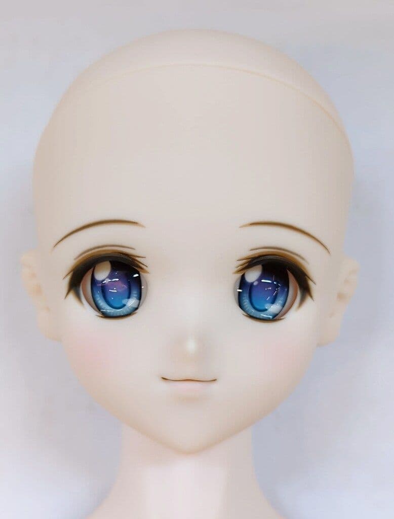 ドルフィードリームMirai スタンダード