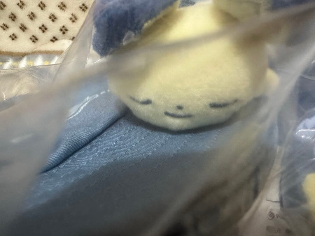 ポケモン　Little Daydream パーカー、バケットハット、ぬいぐるみ
