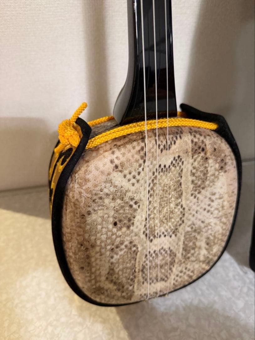 三線（蛇皮＋人工皮）、ケース付き