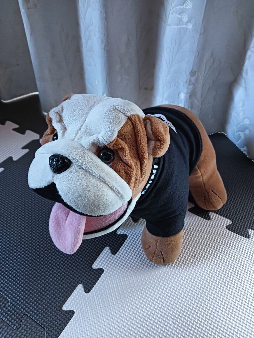 ミニクーパー スパイクくん