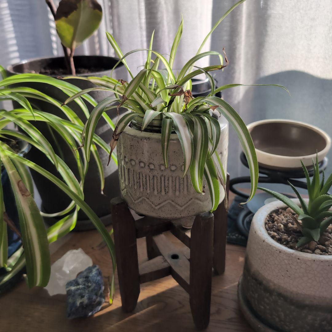 アンティーク　まとめ売り