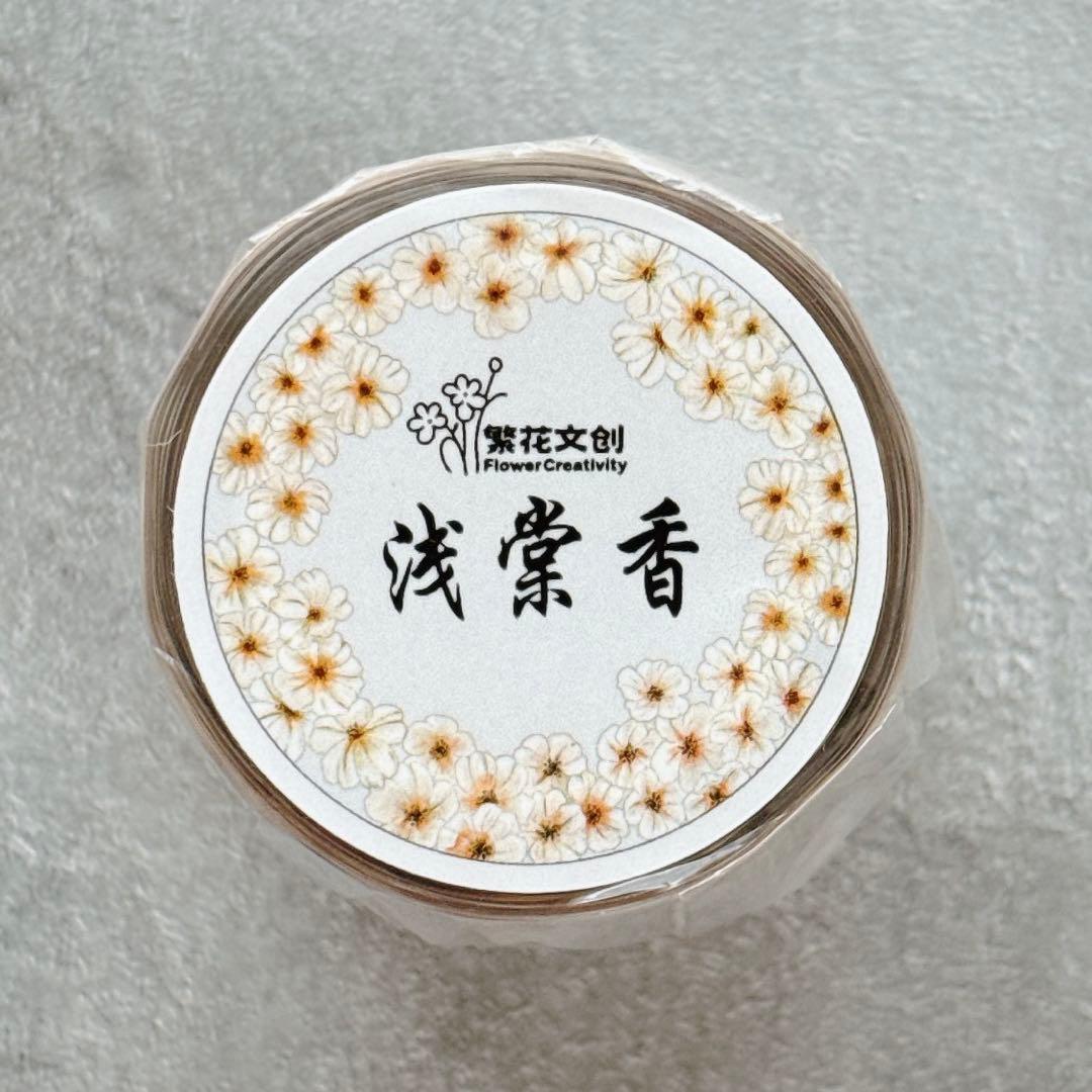 ⭐️SALE⭐️ 繁花文创《浅棠香》海外マスキングテープ　マステ 【2661】