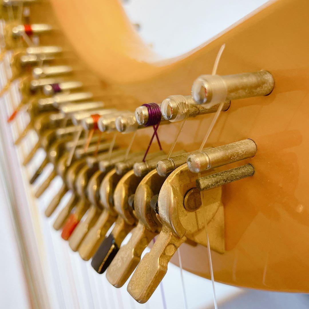 Aoyama 青山ハープ 130D ノンペダルハープ 34弦