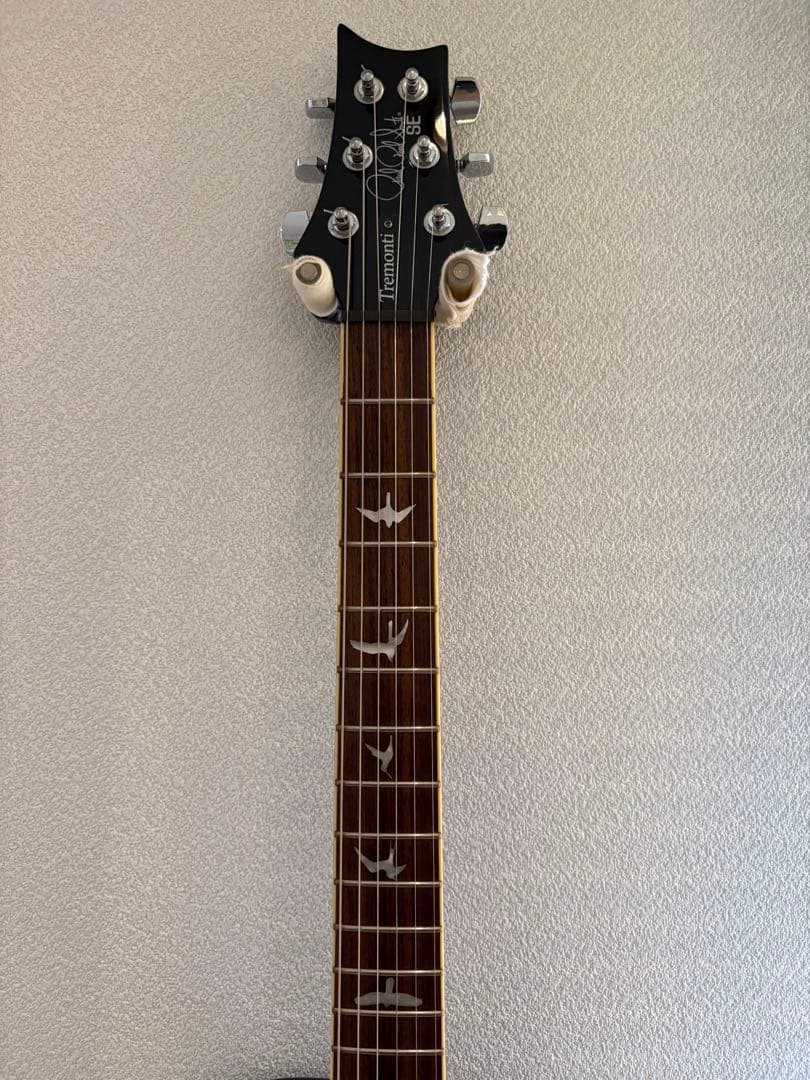 ギター Paul Reed Smith SE Mark Tremonti PRS
