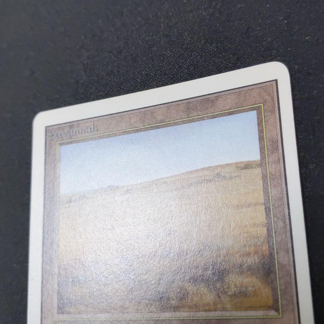 ●【貴重】【やや擦れアリ】Savannah　２ED　英語１枚