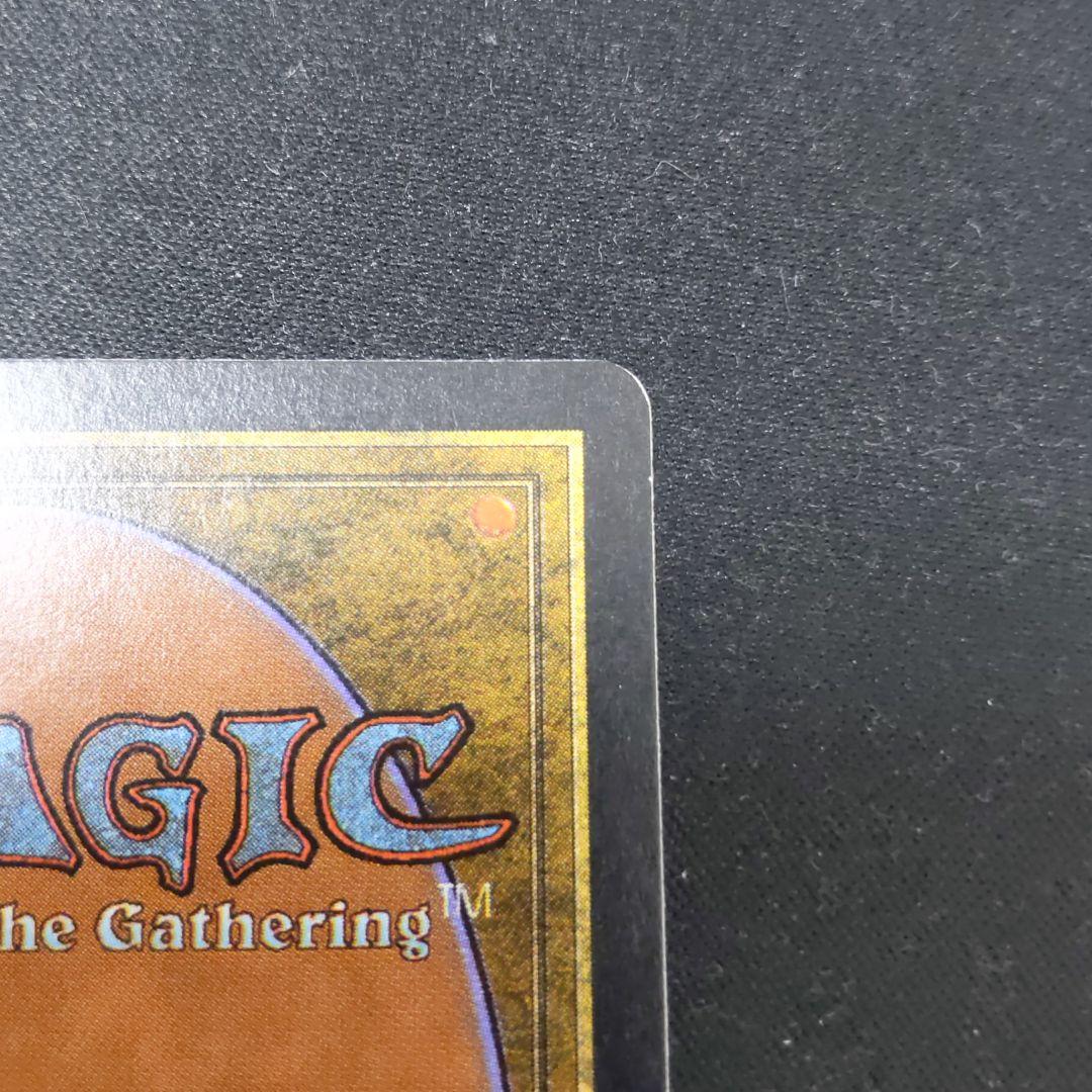 ●【貴重】【やや擦れアリ】Savannah　２ED　英語１枚