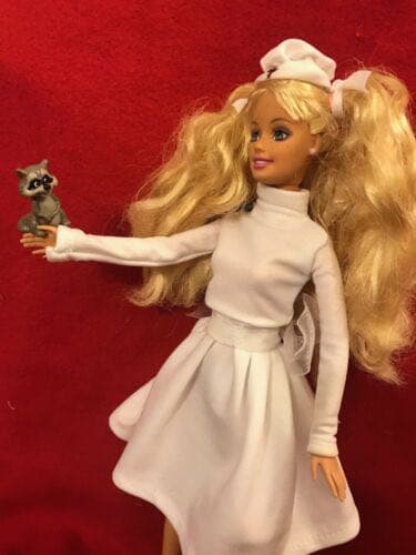 ✳レア物!! キャンディ、キャンディ バービー人形✳