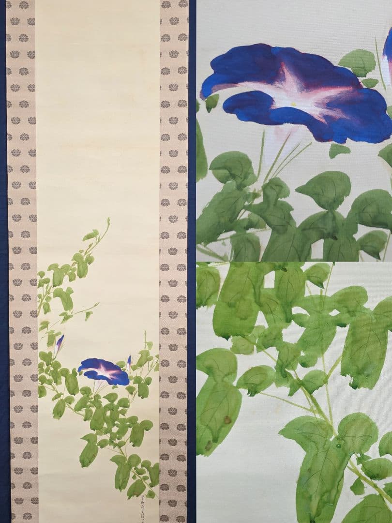 【朝顔図】平井楳仙 2720 アサガオ 掛け軸 肉筆 共箱二重箱