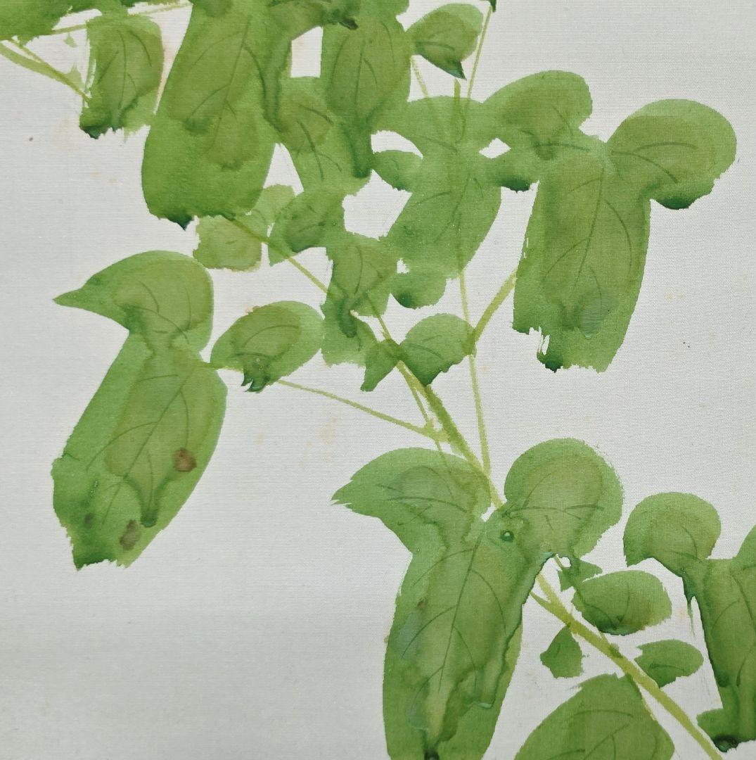 【朝顔図】平井楳仙 2720 アサガオ 掛け軸 肉筆 共箱二重箱