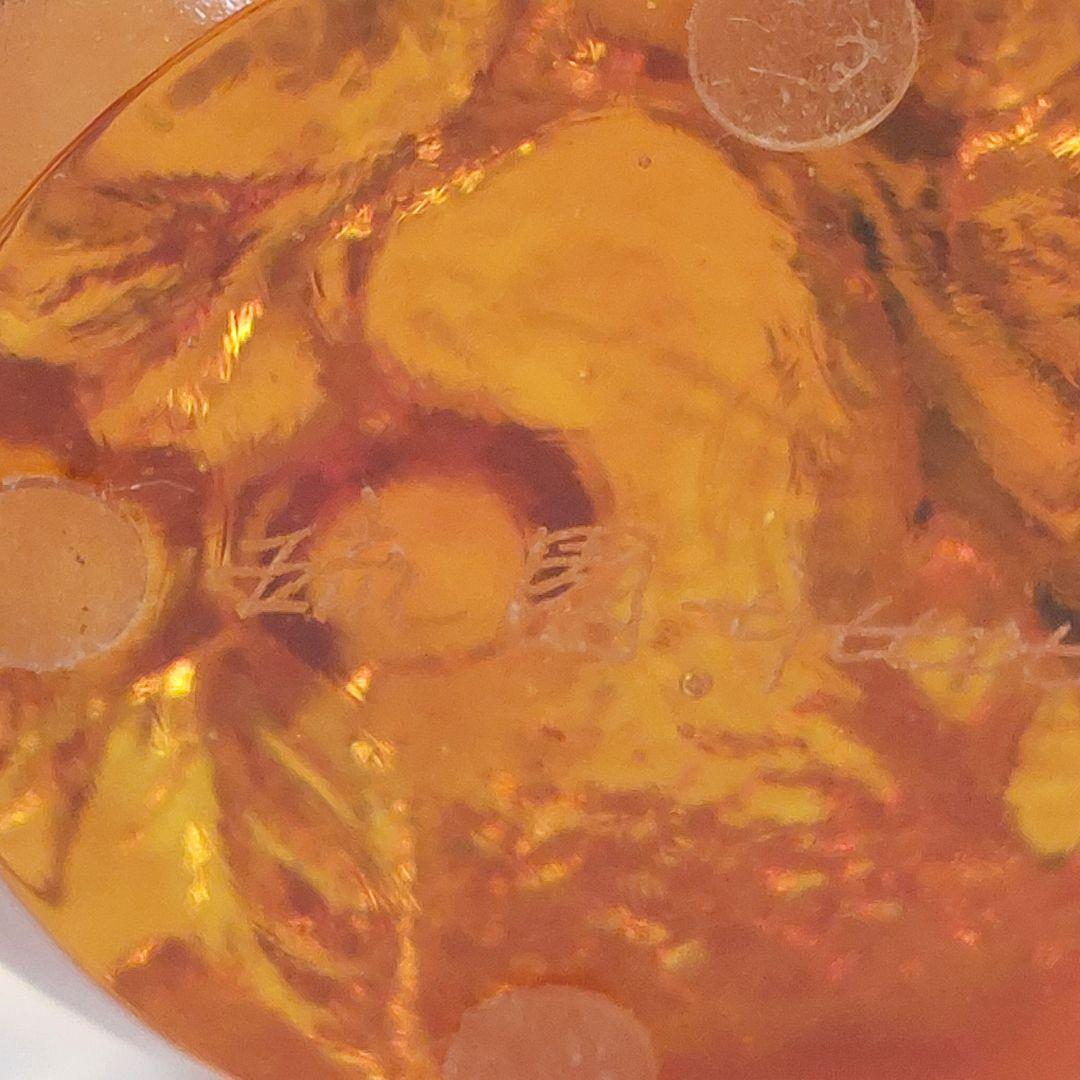 琉園 Tittot クリスタルガラス バード 置物