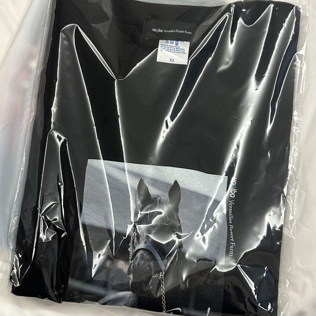 【新品】 エイシンフラッシュ ロングTシャツ ロンT XL 会場限定