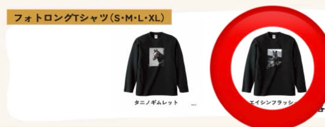 【新品】 エイシンフラッシュ ロングTシャツ ロンT XL 会場限定