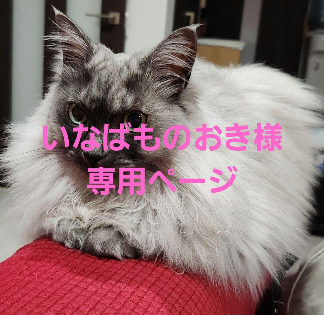 いなばものおきページ