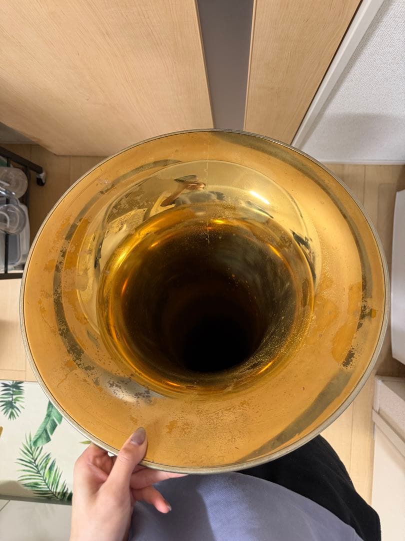 Fチューバ B&S Symphony 6ロータリー【DACプロテクション付】