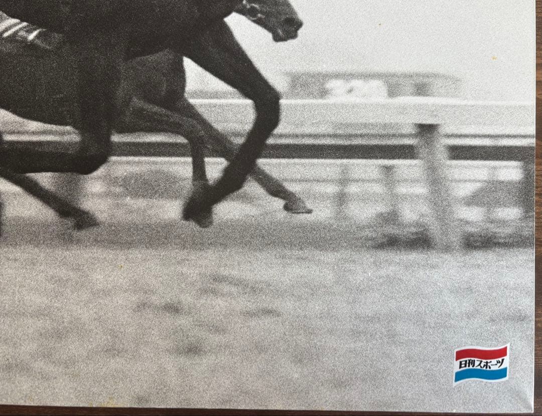 シンザン　昭和40年天皇賞 競馬パネル 日刊スポーツ