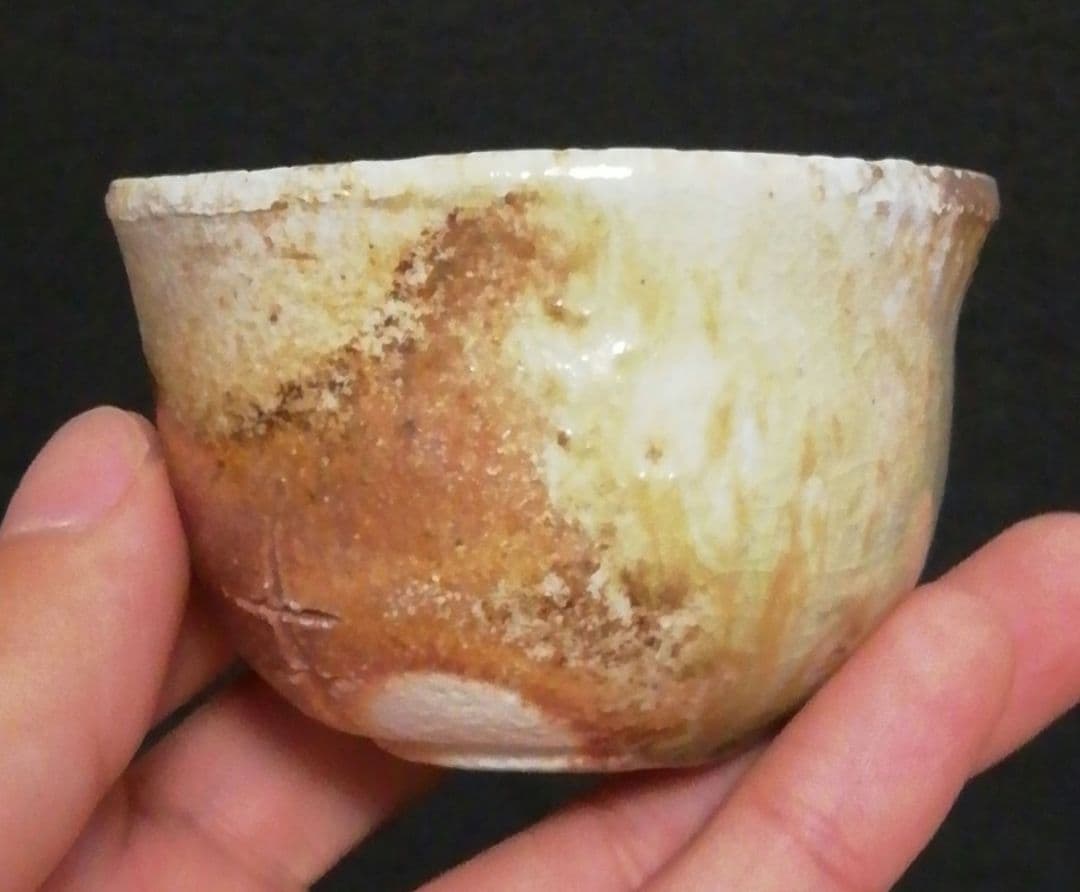 杉本貞光作　信楽焼　盃　ぐい呑　一対　共箱　酒器