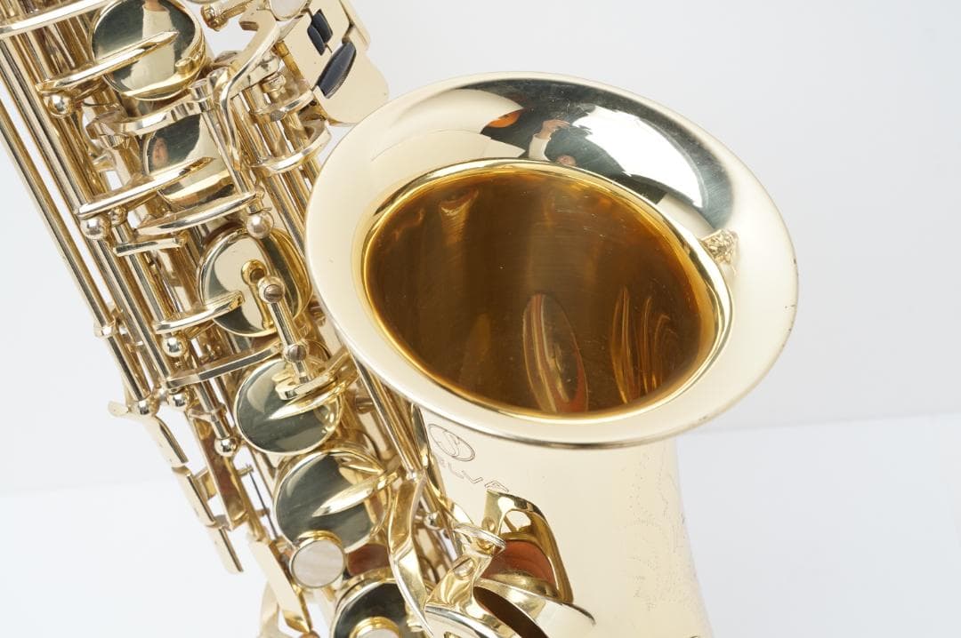 ジャンク品扱い Selva サックス