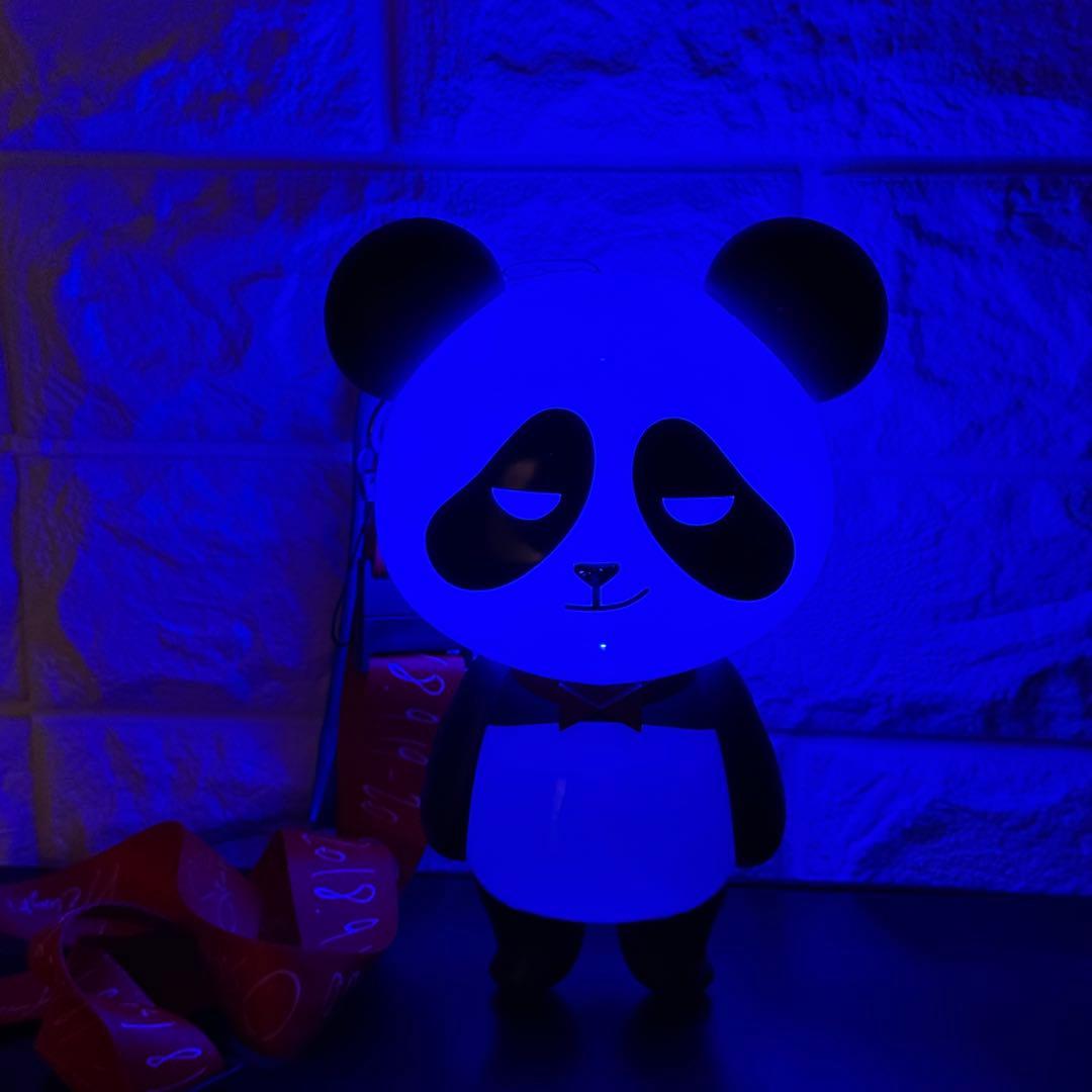 BIGBANGスンリ ペンライト