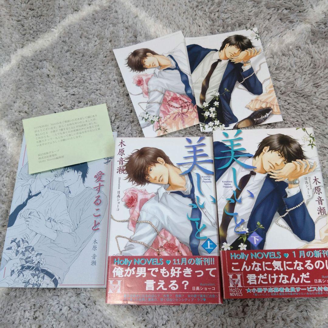 美しいこと　愛すること　木原音瀬　日高ショーコ