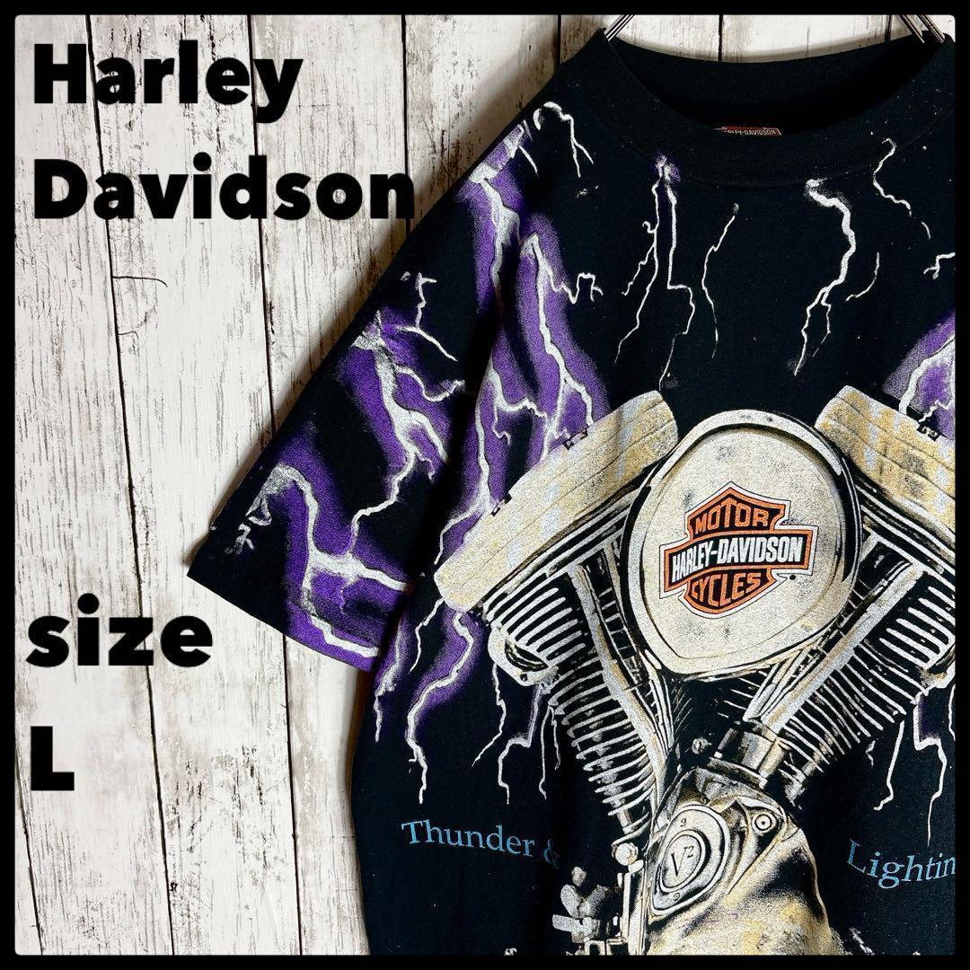 ハーレーダビッドソン tシャツ ライトニングサンダー 両面プリント L□