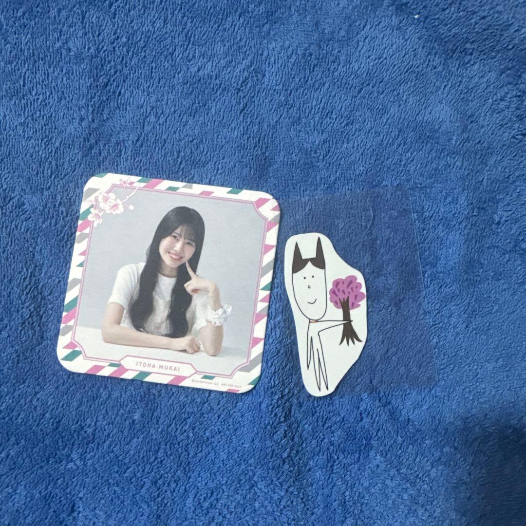 櫻坂46 向井純葉東京ドーム撮り下ろしプレミアム生写真　　おまけあり