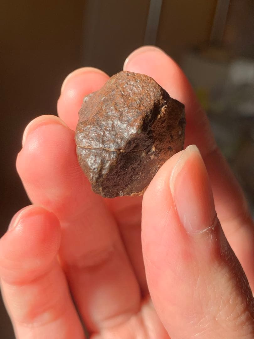 世界最古の石　46億年前の隕石コンドライト　太陽系最古の隕石　石質隕石　鉄隕石